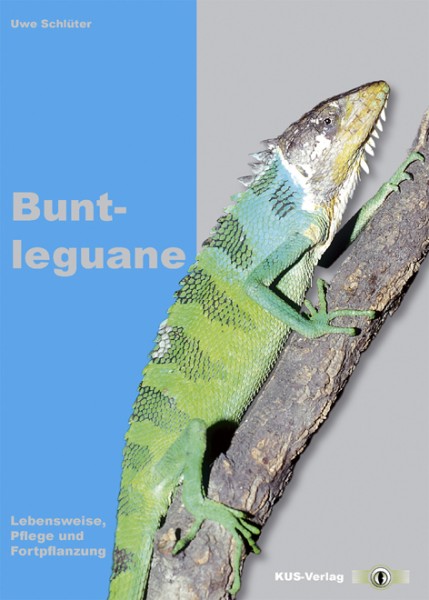 Buntleguane