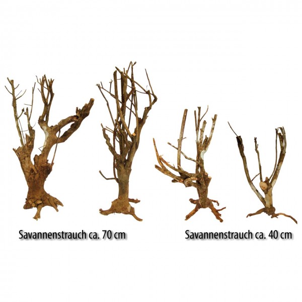 Lucky Reptile Savannah Bush