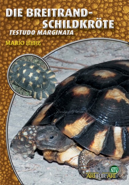 Die Breitrandschildkröte - Testudo marginata