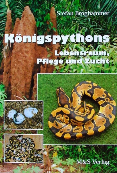 Königspython - Lebensraum, Pflege + Zucht