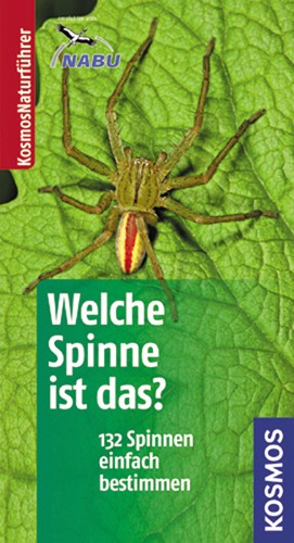 Kosmos Basic: Welche Spinne ist das?