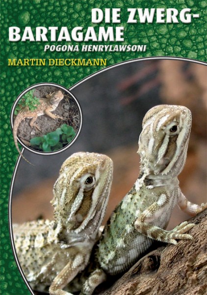 Die Zwergbartagame - Pogona henrylawsoni