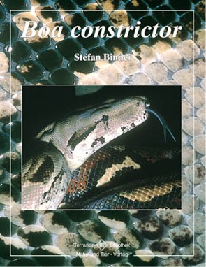 Boa Constrictor
