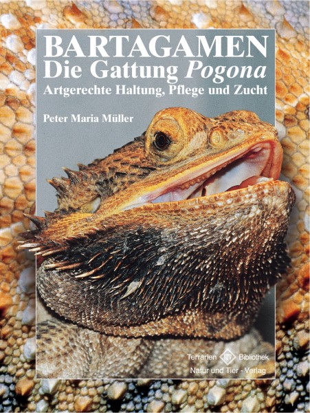 Bartagamen - Die Gattung Pogona