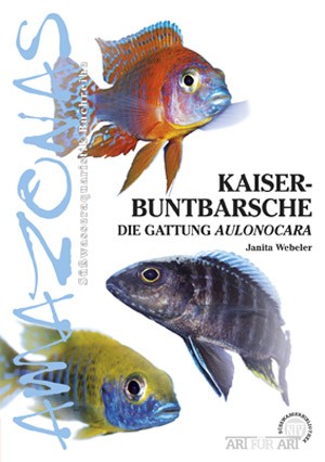 Kaiserbuntbarsche im Süsswasseraquarium