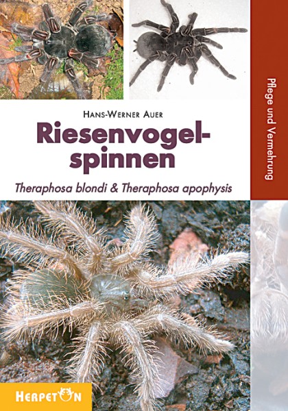 Riesenvogelspinnen