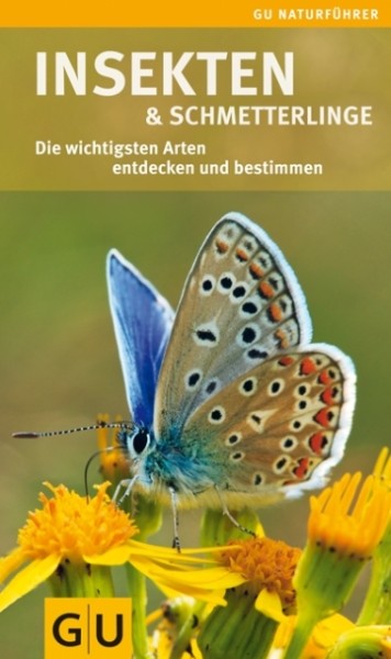 Naturführer: Insekten & Schmetterlinge