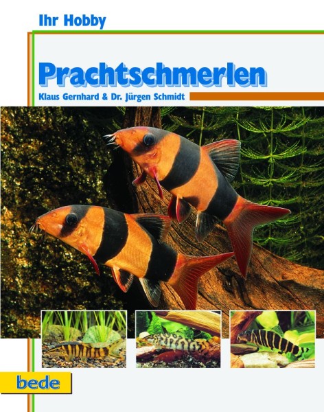 Ihr Hobby Prachtschmerlen