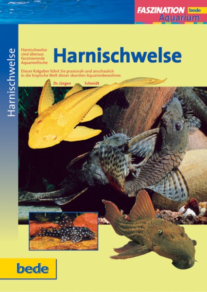 Faszination Harnischwelse
