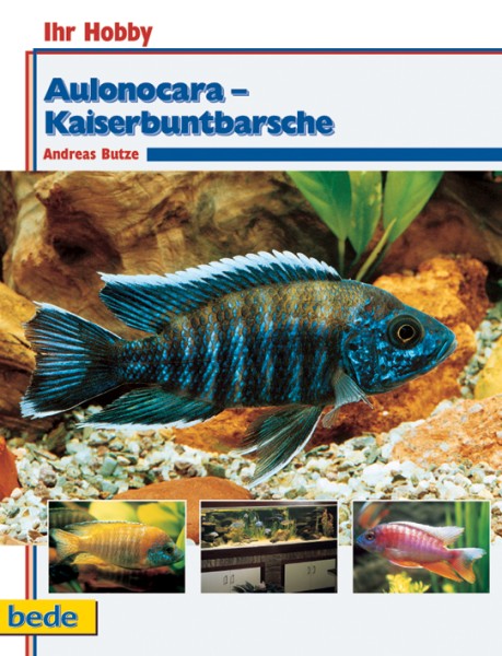 Ihr Hobby Kaiserbuntbarsche