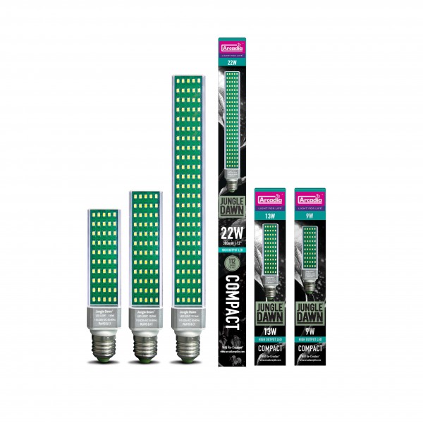 Arcadia Jungle Dawn LED