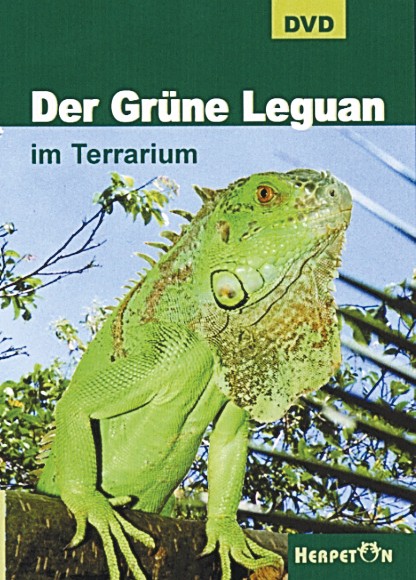 DVD: Der Grüne Leguan