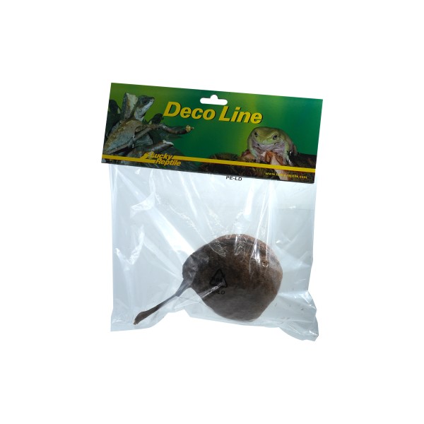 Lucky Reptile "Rose von Jericho"