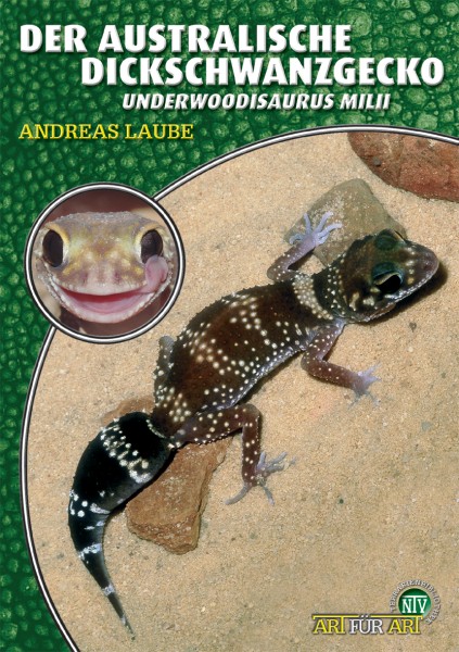 Der Australische Dickschwanzgecko - U. milii