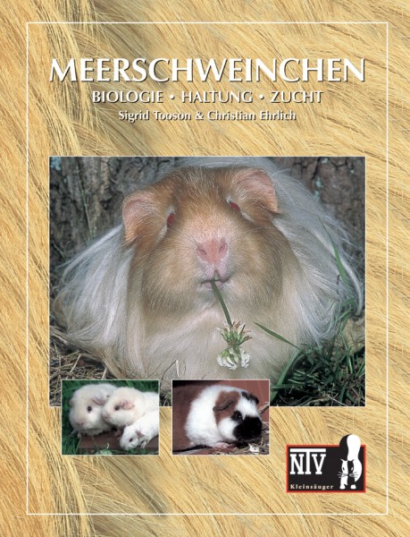 Leben mit Meerschweinchen