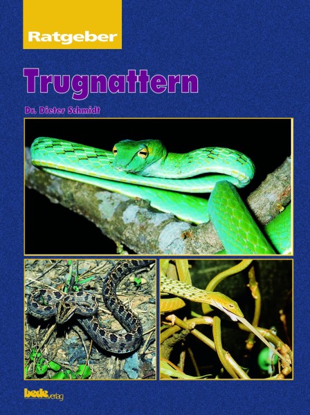 Ratgeber Trugnattern