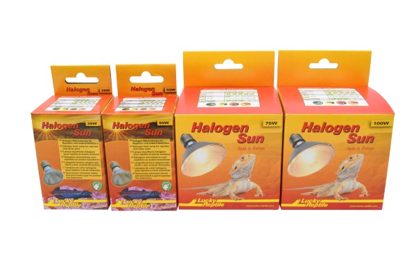 Lucky Reptile Halogen Sun "Spot Lamp"