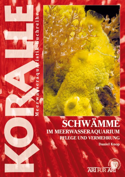 Schwämme