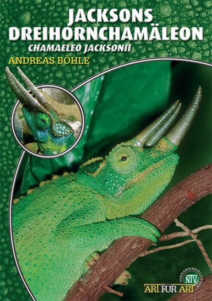 Jacksons Dreihornchamäleon