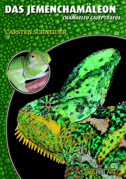 Das Jemenchamäleon