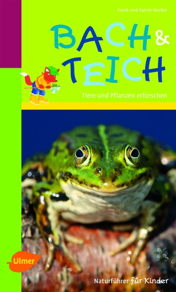 Bach & Teich