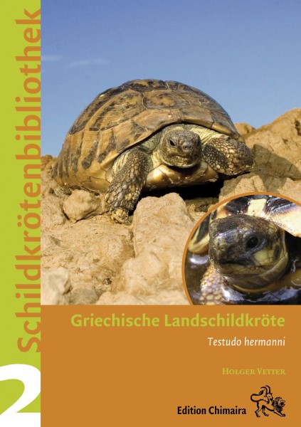 Griechische Landschildkröten