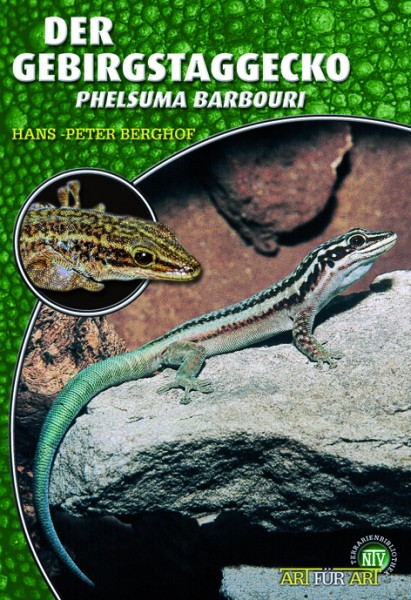 Der Gebirgstaggecko (Phelsuma barbouri)