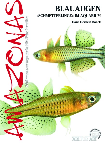 Blauaugen-Schmetterlinge im Aquarium