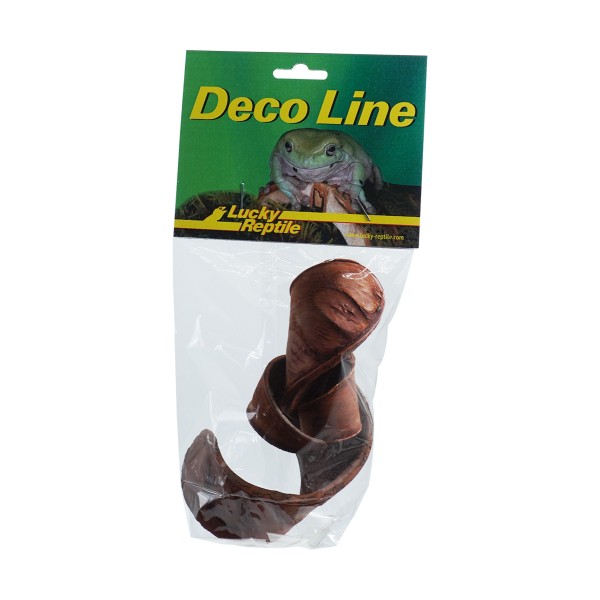 Lucky Reptile "Rose von Jericho"