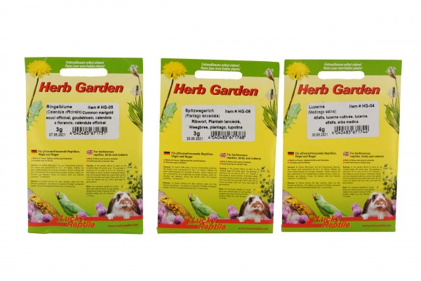 Lucky Reptile Herb Garden Seed Mix