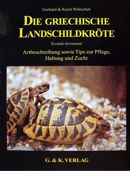 Die Griechische Landschildkröte