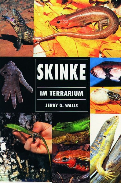 Skinke im Terrarium