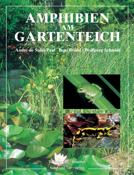 Amphibien am Gartenteich