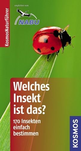Kosmos Basic: Welches Insekt ist das?