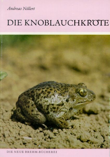 Knoblauchkröte