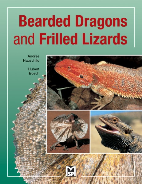 Bartagamen und Kragenechsen