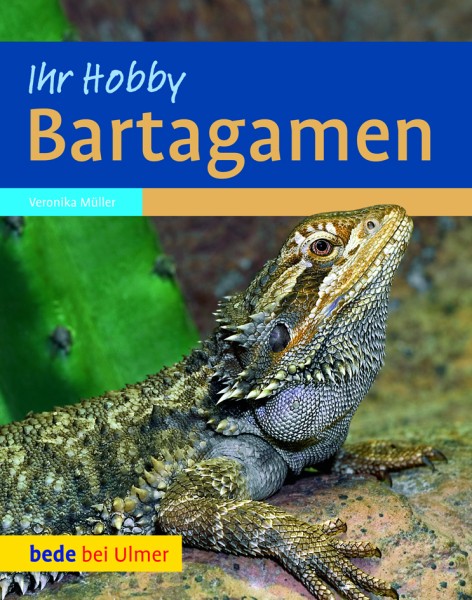 Ihr Hobby Bartagamen