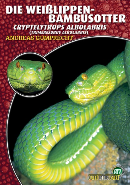 Die Weißlippenbambusotter
