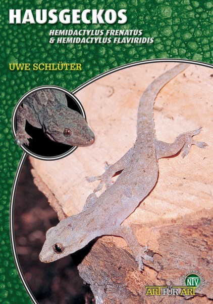 Hausgeckos