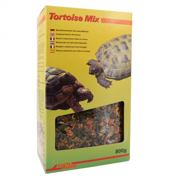 Lucky Reptile Tortoise Mix