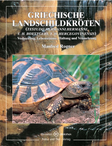 Griechische Landschildkröte