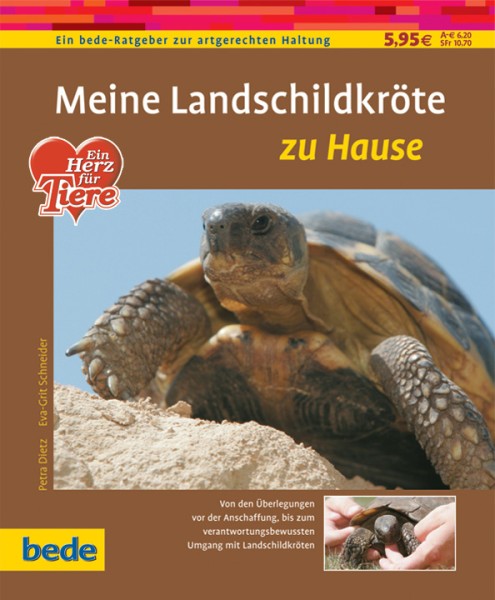 Meine Landschildkröte zu Hause
