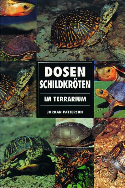 Dosenschildkröten im Terrarium