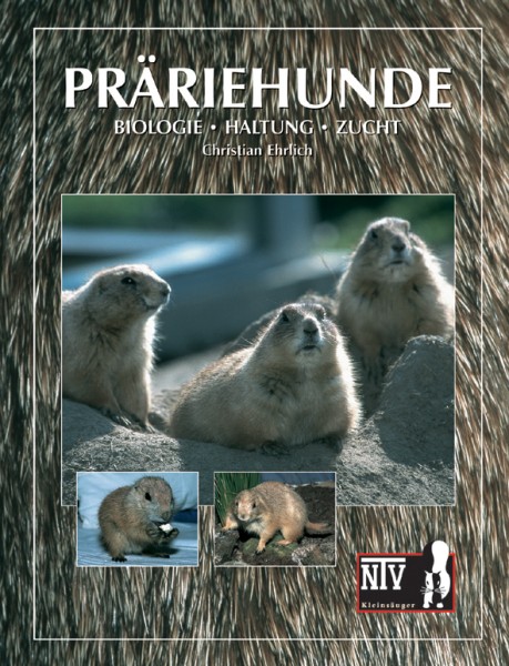 Präriehunde