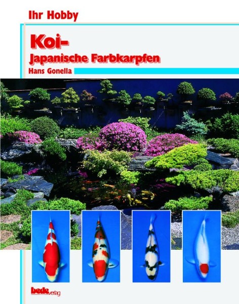 Ihr Hobby Koi - Japanische Farbkarpfen