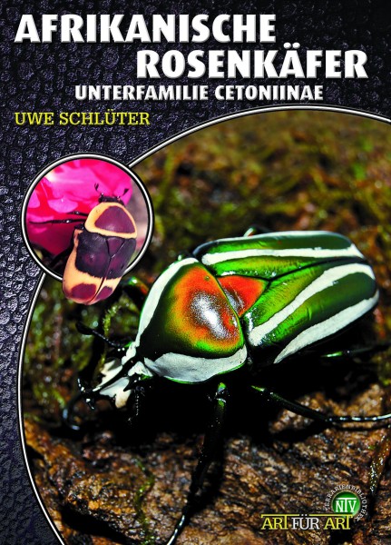 Afrikanische Rosenkäfer
