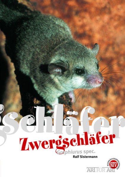 Zwergschläfer