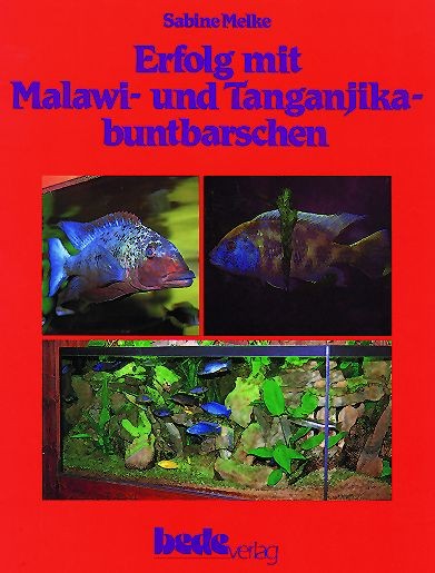Erfolg mit Malawi- + Taganjikabuntbarsche