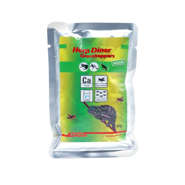 Lucky Reptile Herp Diner Grasshoppers