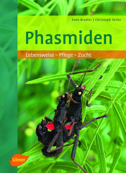 Phasmiden